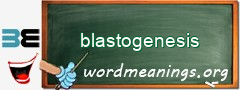 WordMeaning blackboard for blastogenesis